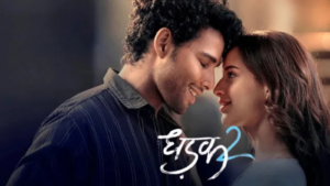 Dhadak 2 (Hindi), A Movie runs around Caste Equations rather than Love